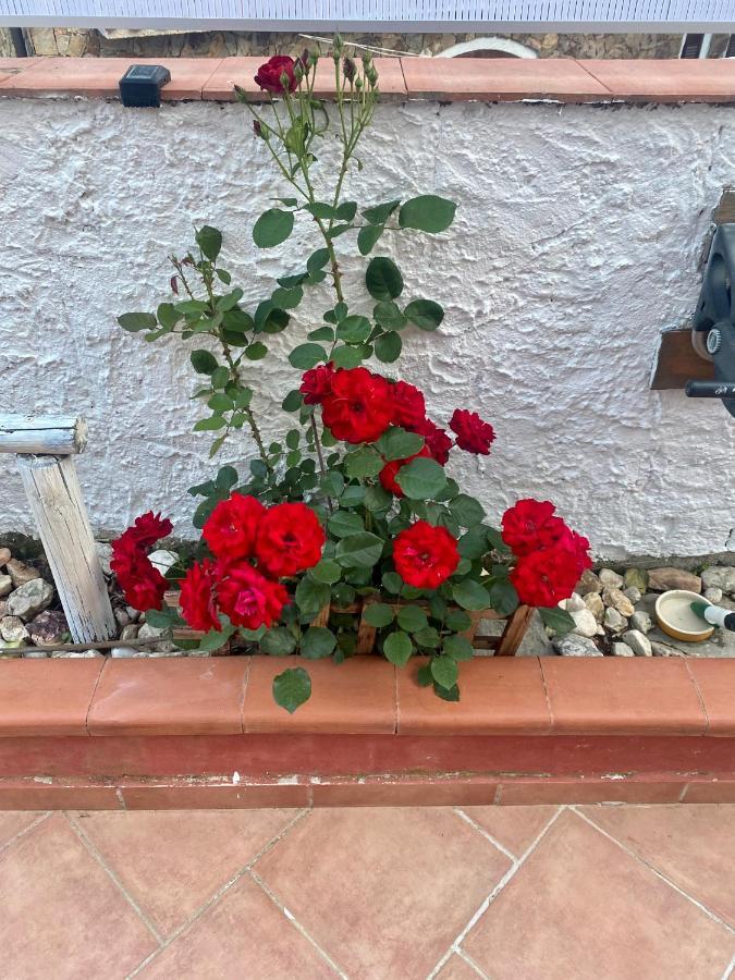 L'Oasi Di Chia Bed and Breakfast Εξωτερικό φωτογραφία